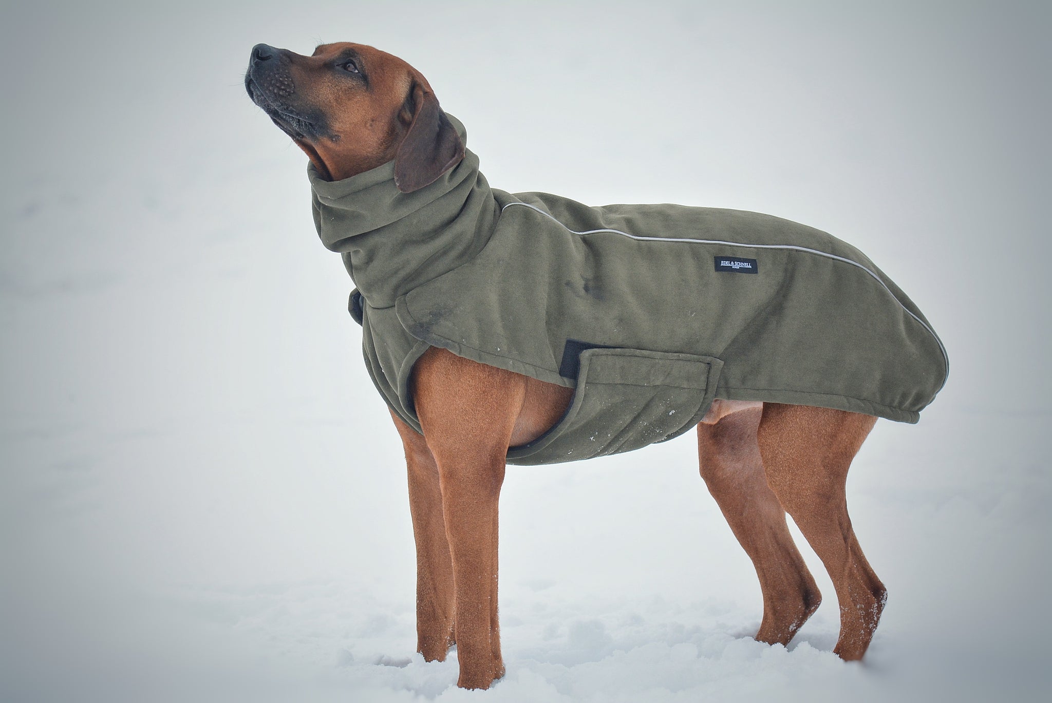 dog gear mantel Luxus-Hundemantel: Eleganz & Komfort für Ihren Vierbeiner – Edel und Schnell