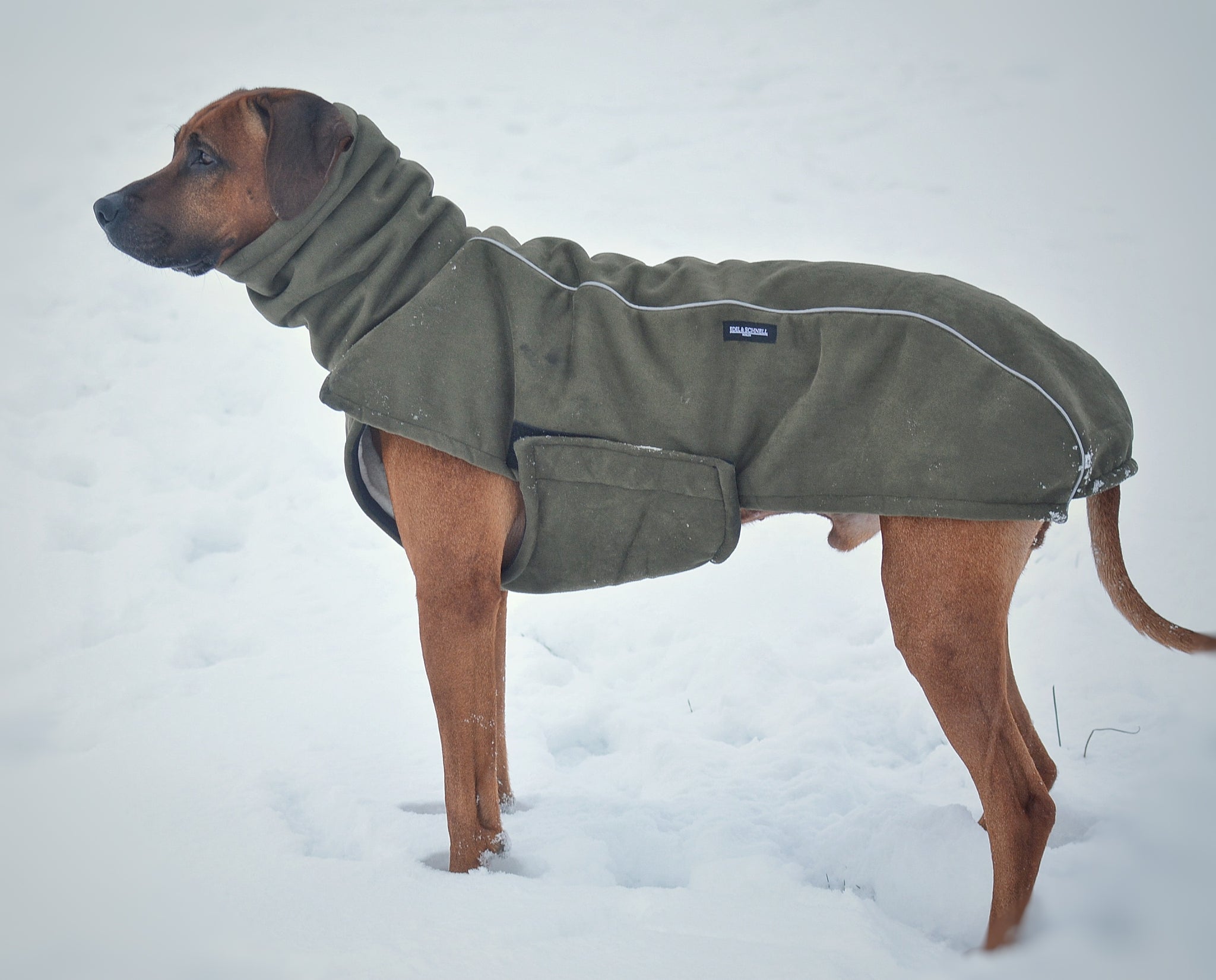 Edel & Schnell Windhunde Hundemantel, Polyester Produktbild-Vorschau 2