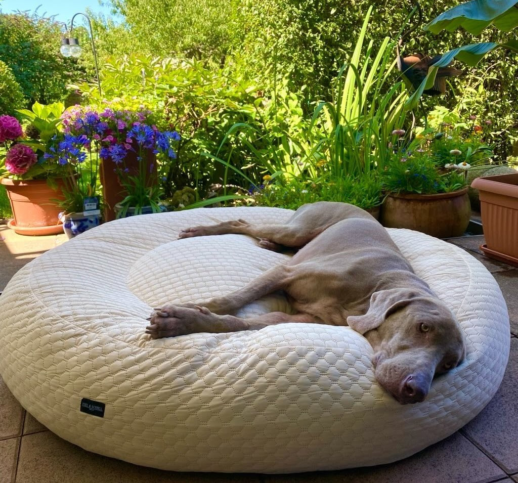 Orthopädisches Hundebett | Rund & Anpassbar