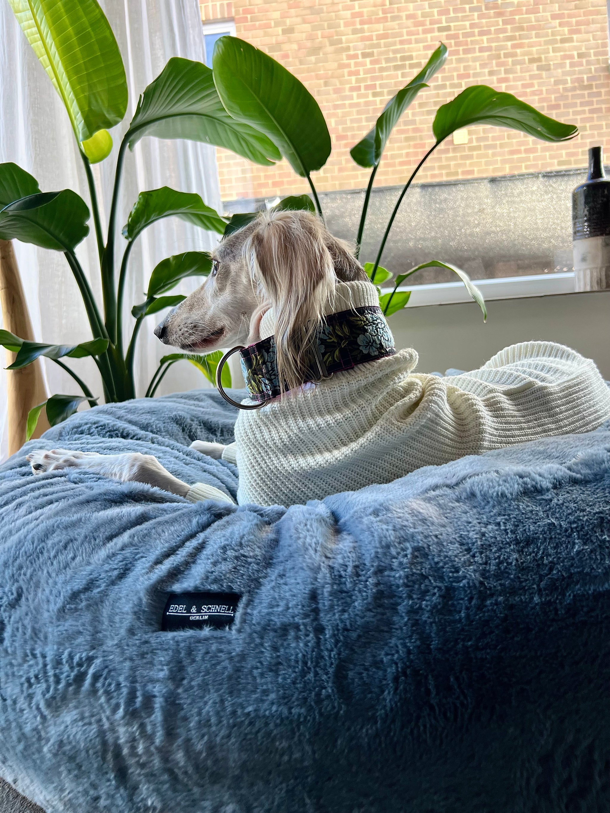 Luxus-Hundebett mit extra Füllung & abnehmbarem Kunstfellbezug – Edel und  Schnell