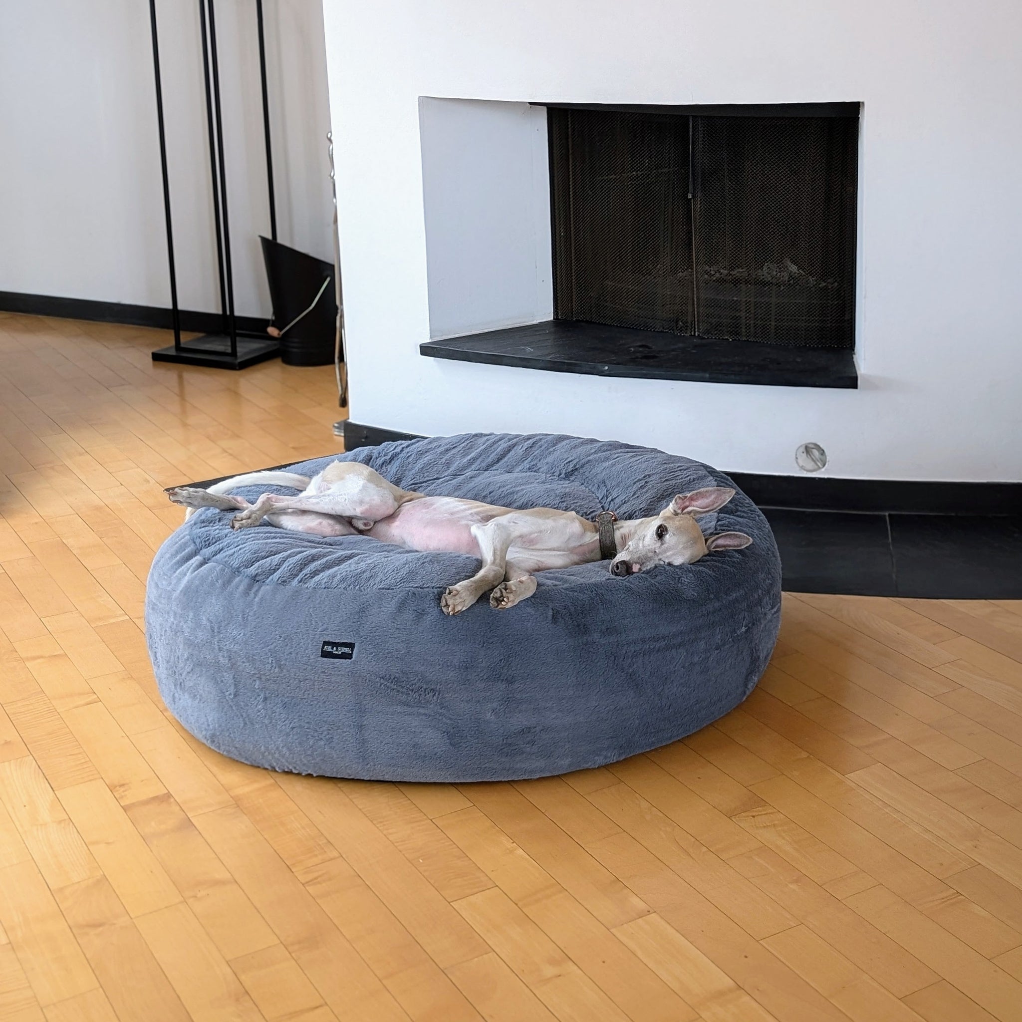BESTEN Nachtleuchtendes Hundebett Mit Decke – Orthopädisches Schaumstoffkissen Für Hunde & Menschen (groß, Einhorn-Design)