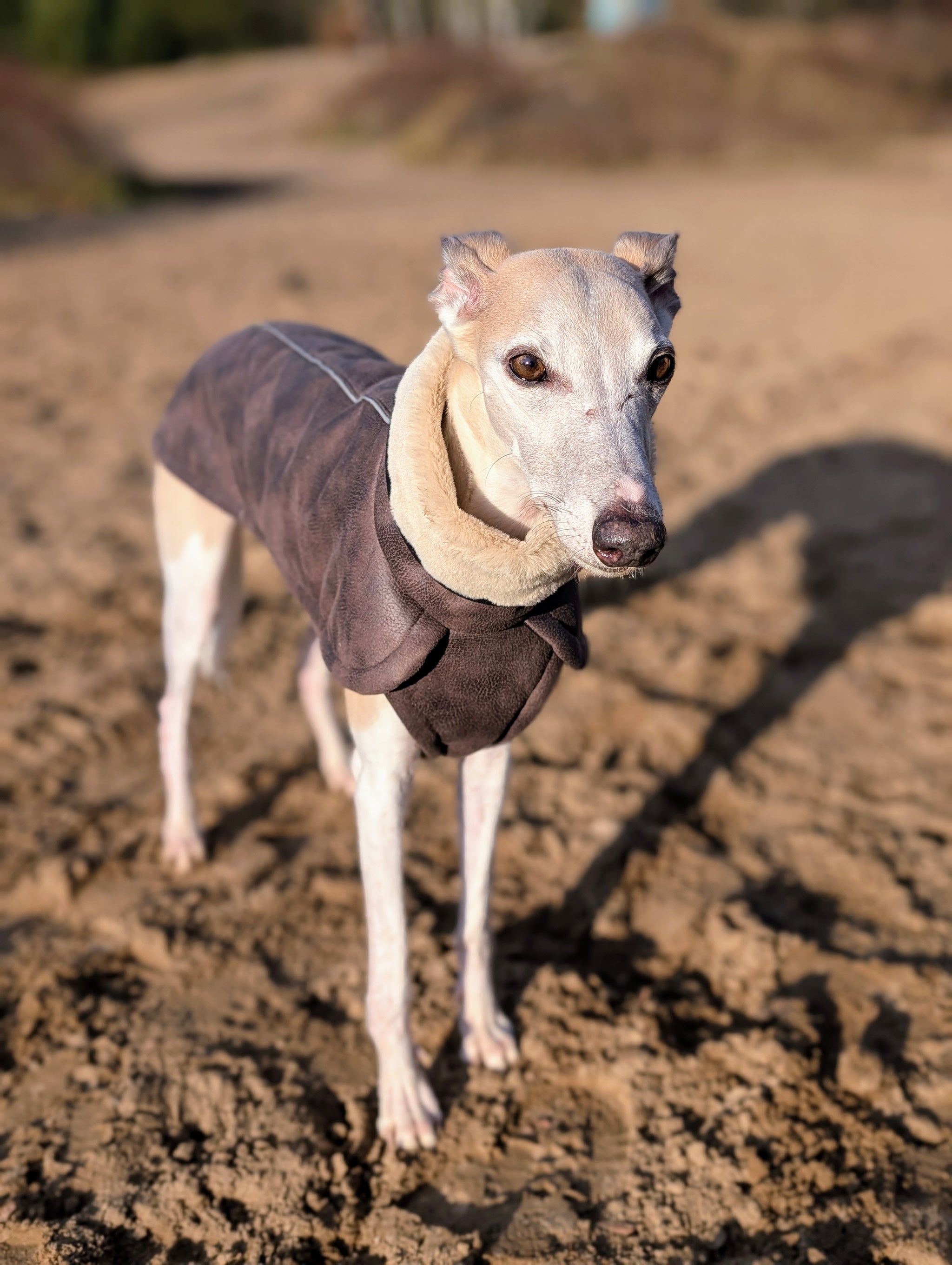 Edel & Schnell Windhunde Hundemantel, Polyester Produktbild-Vorschau 4