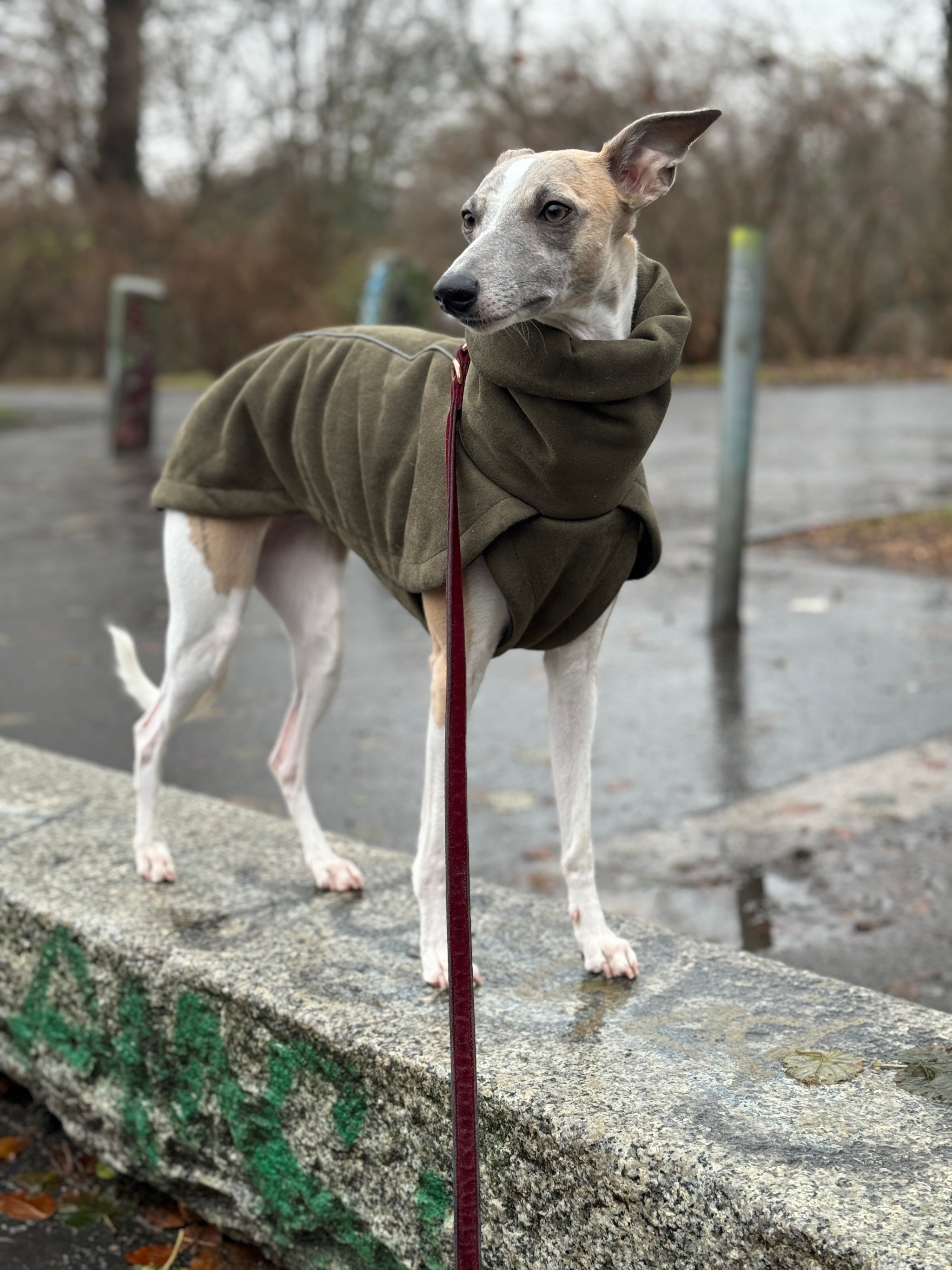 Edel & Schnell Windhunde Hundemantel, Polyester Produktbild-Vorschau 3