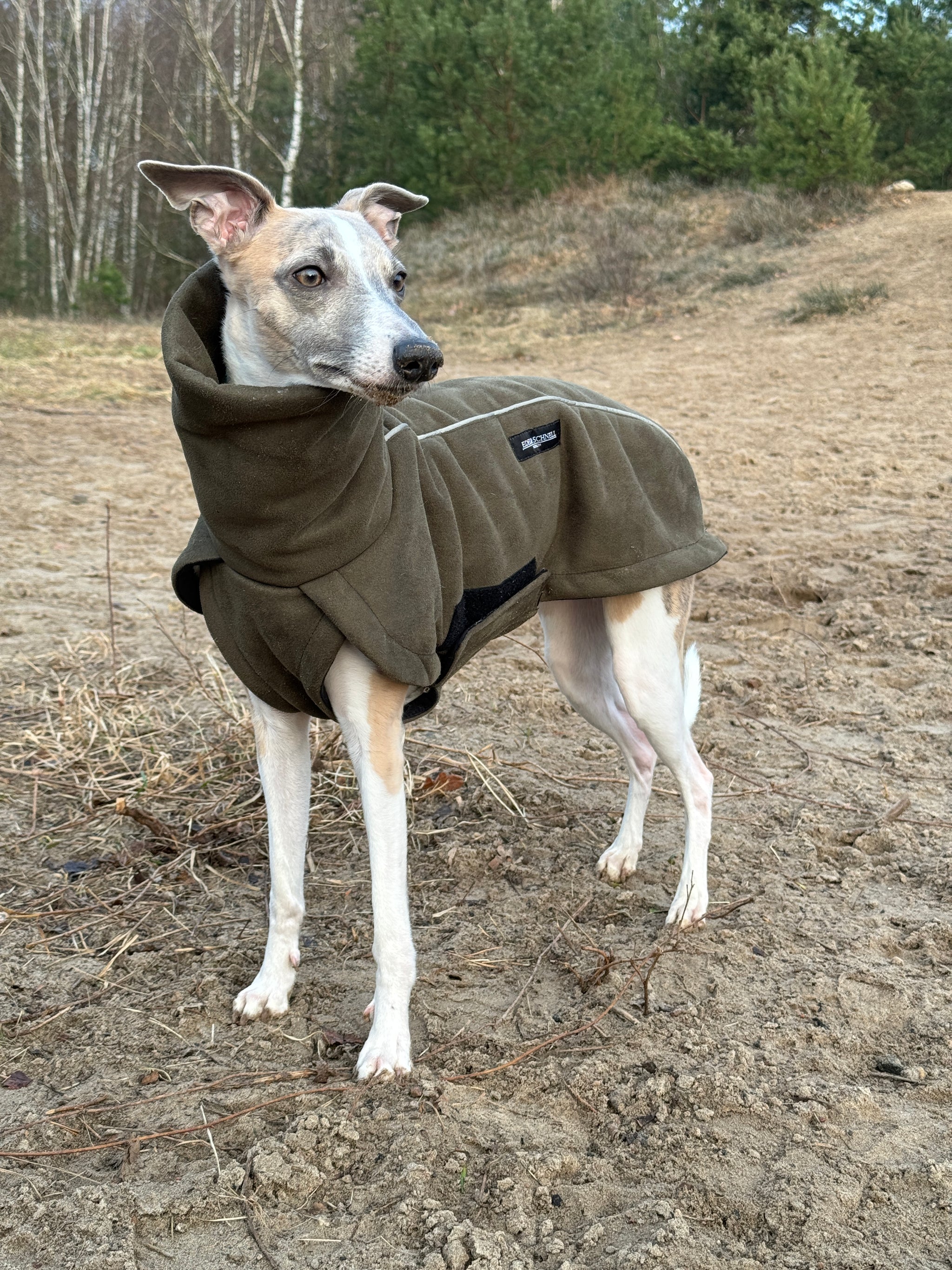 Luxus-Hundemantel: Eleganz & Komfort für Ihren Vierbeiner – Edel und Schnell