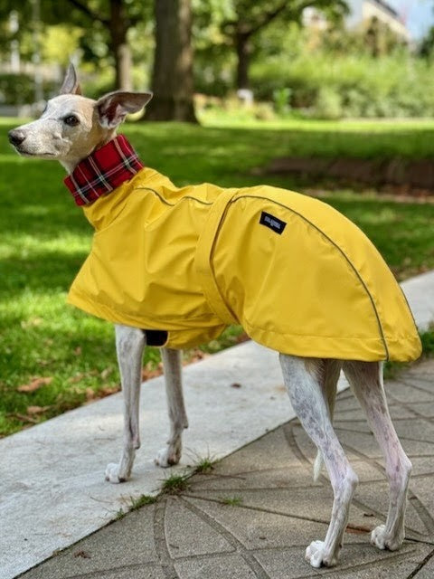 dog gear windhund mode Luxus Hunde-Regenmantel – Eleganter, regendichter Hundemantel mit Schottenkaro-Futter und reflektierenden Streifen – Edel und Schnell