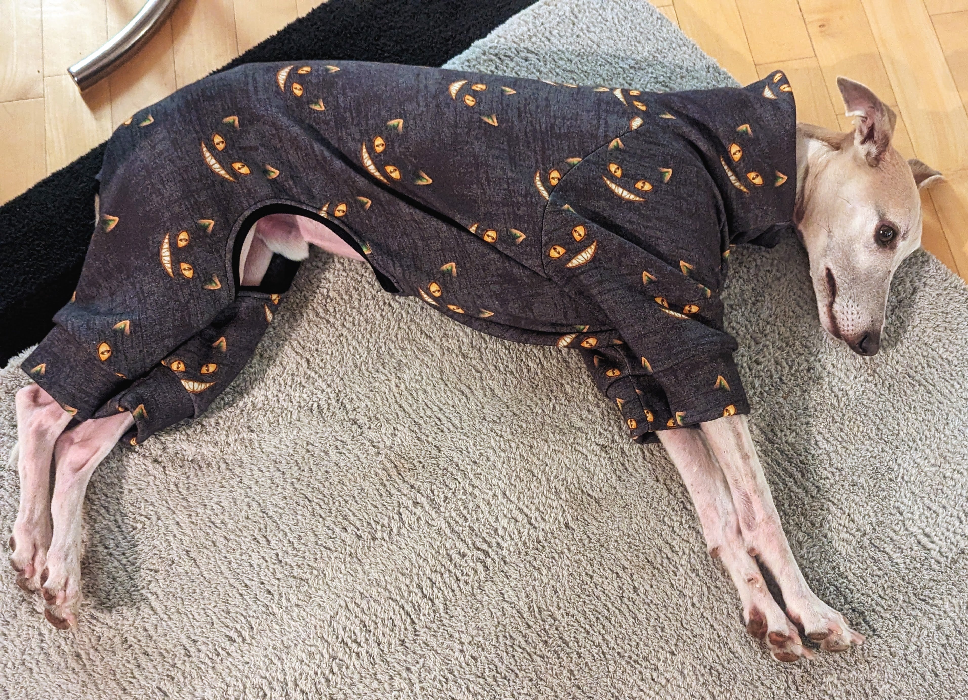Windhunde Whippet Ridgeback Pyjama ohne Reißverschluss Grinsekatze – Edel und Schnell