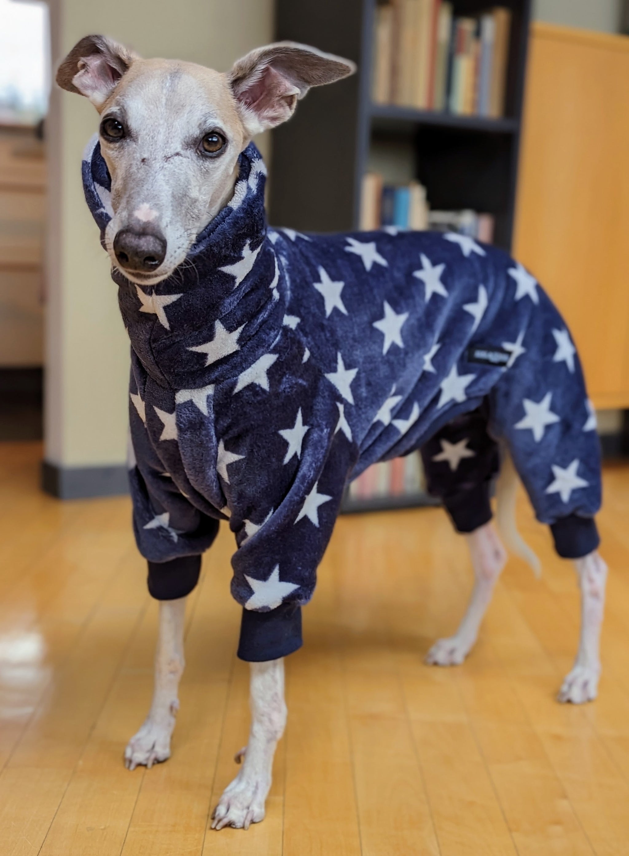 Oster-Pyjama Für Hunde & Katzen – 4er Set Mit Hasen & Eiern, Weich & Dehnbar