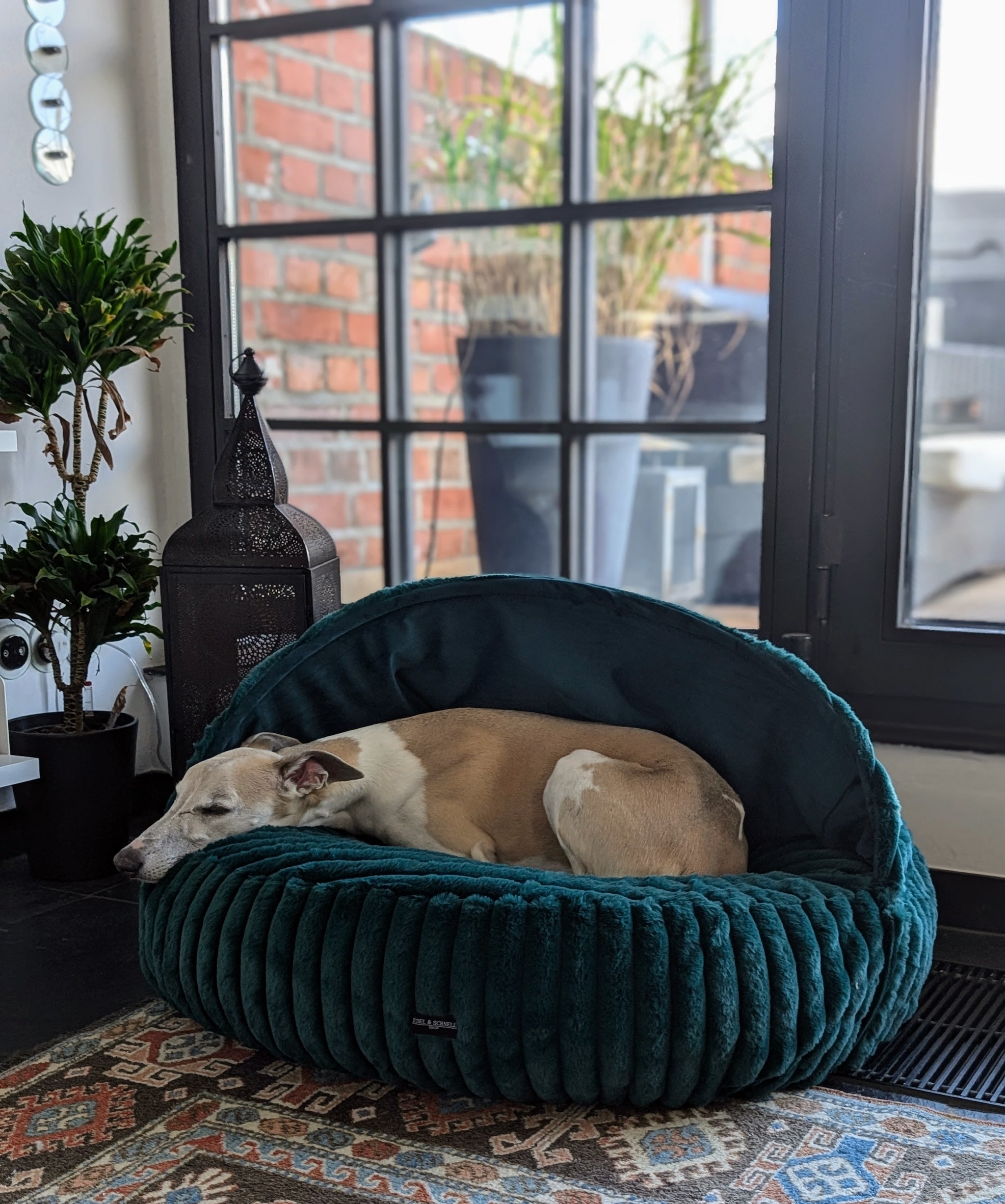 Orthopädisches Hundebett | Rund & Anpassbar