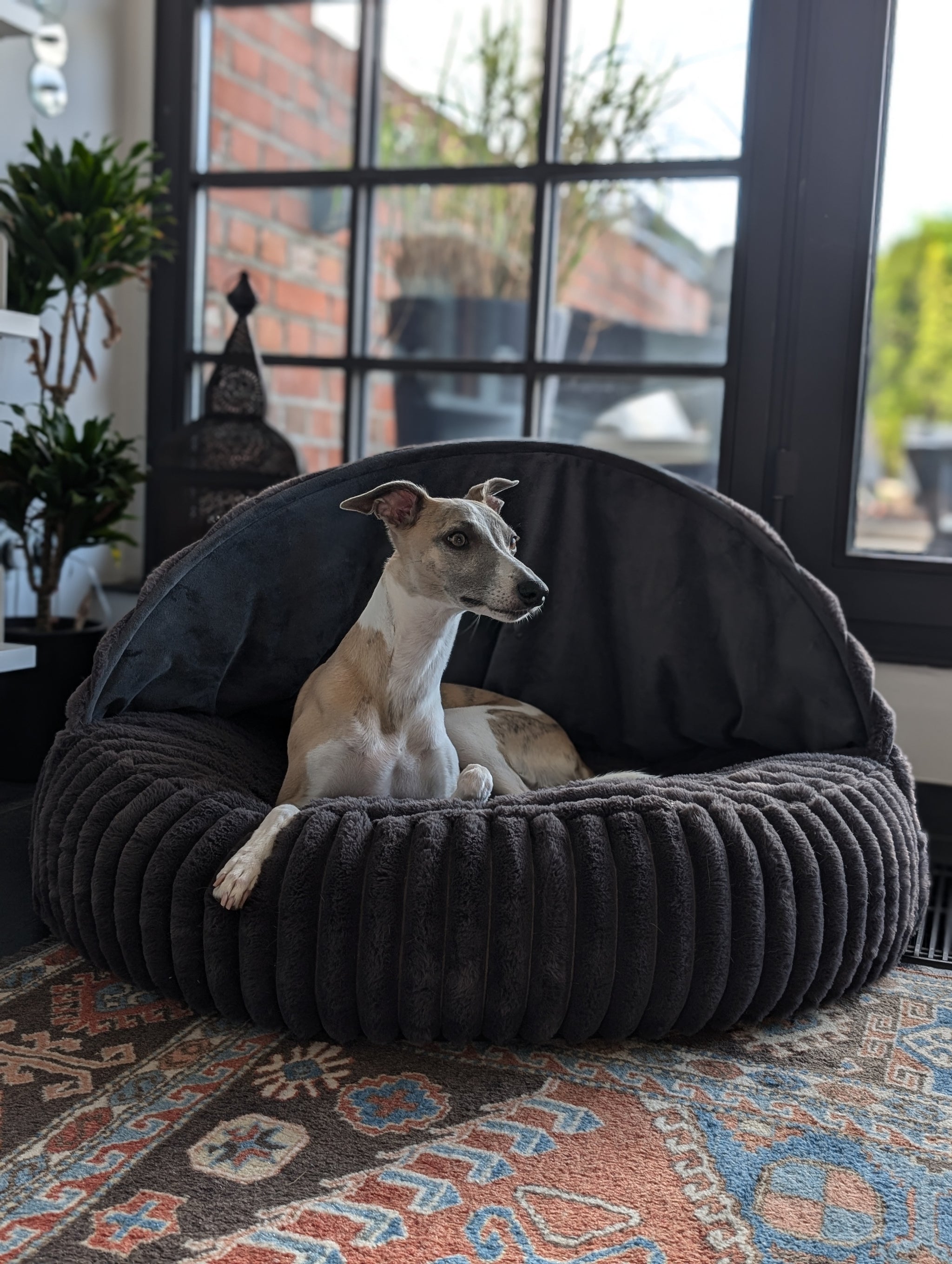 Orthopdisches Hundebett | Rund & Anpassbar | Khlende Funktion  Edel und  Schnell