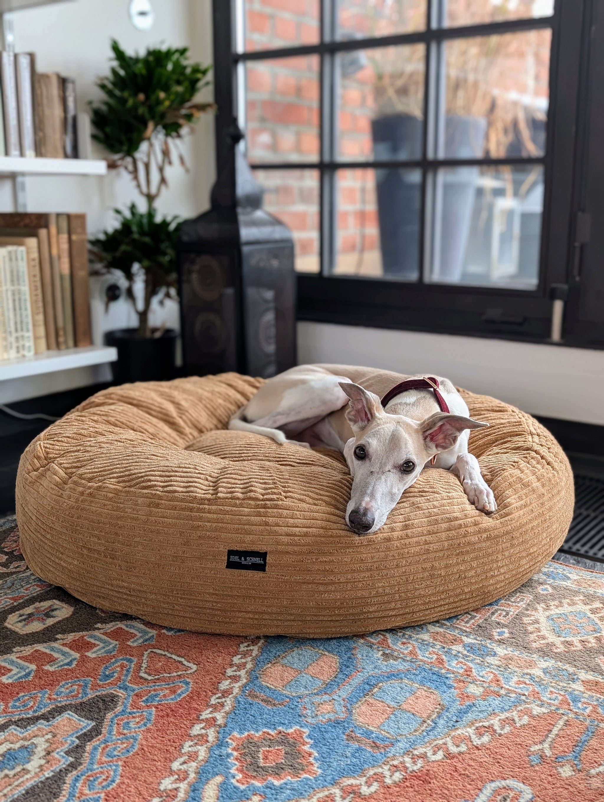 Orthopädisches Hundebett | Rund & Anpassbar